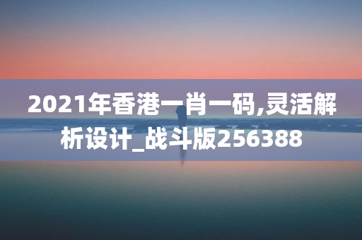 2021年香港一肖一码,灵活解析设计_战斗版256388