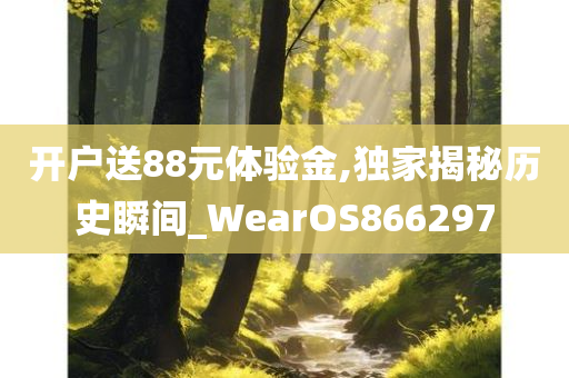 开户送88元体验金,独家揭秘历史瞬间_WearOS866297