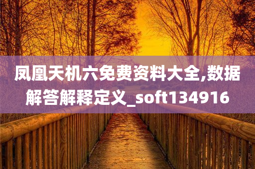 凤凰天机六免费资料大全,数据解答解释定义_soft134916