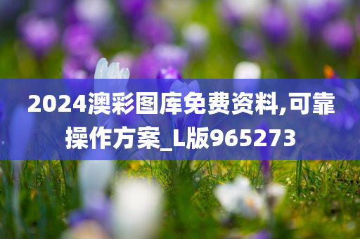 2024澳彩图库免费资料,可靠操作方案_L版965273