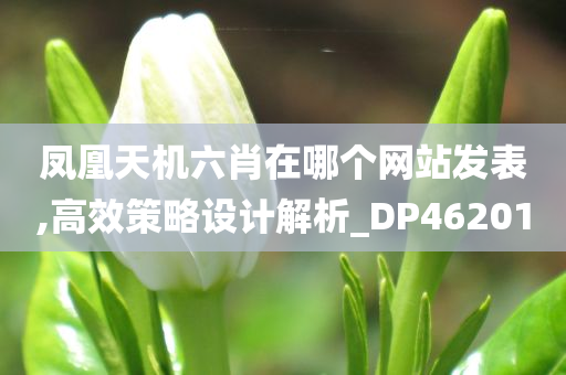 凤凰天机六肖在哪个网站发表,高效策略设计解析_DP462010