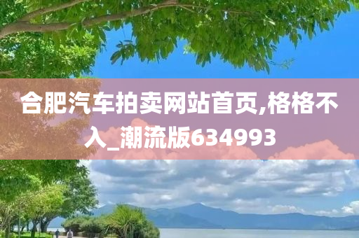 合肥汽车拍卖网站首页,格格不入_潮流版634993