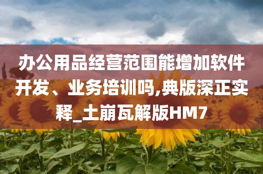 办公用品经营范围能增加软件开发、业务培训吗,典版深正实释_土崩瓦解版HM7