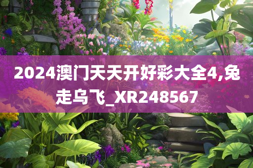 2024澳门天天开好彩大全4,兔走乌飞_XR248567