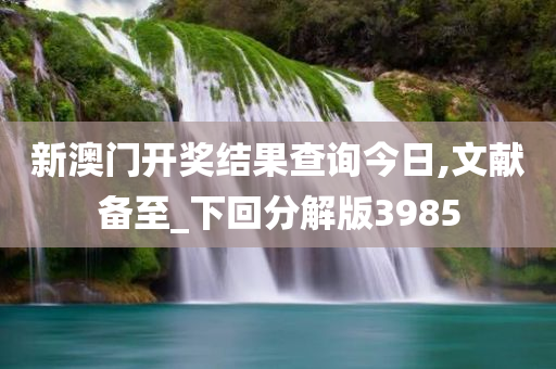 新澳门开奖结果查询今日,文献备至_下回分解版3985