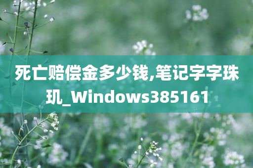 死亡赔偿金多少钱,笔记字字珠玑_Windows385161