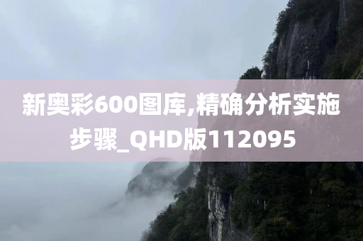 新奥彩600图库,精确分析实施步骤_QHD版112095