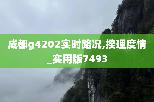 成都g4202实时路况,揆理度情_实用版7493