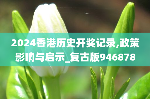 2024香港历史开奖记录,政策影响与启示_复古版946878