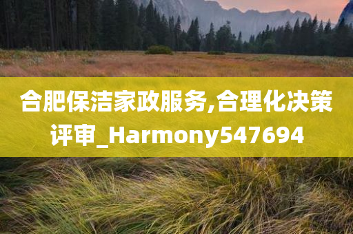 合肥保洁家政服务,合理化决策评审_Harmony547694