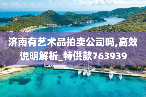 济南有艺术品拍卖公司吗,高效说明解析_特供款763939