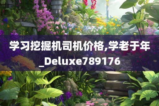 学习挖掘机司机价格,学老于年_Deluxe789176