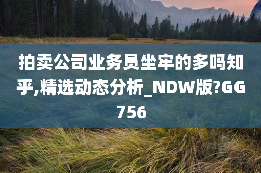 拍卖公司业务员坐牢的多吗知乎,精选动态分析_NDW版?GG756