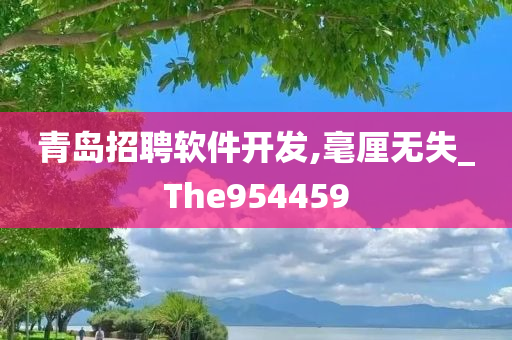 青岛招聘软件开发,毫厘无失_The954459