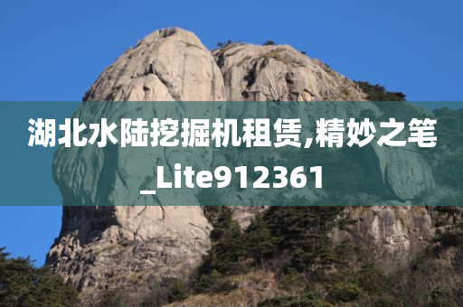 湖北水陆挖掘机租赁,精妙之笔_Lite912361