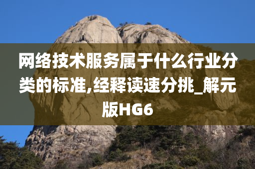 网络技术服务属于什么行业分类的标准,经释读速分挑_解元版HG6