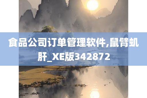 食品公司订单管理软件,鼠臂虮肝_XE版342872