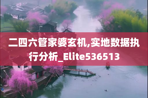 二四六管家婆玄机,实地数据执行分析_Elite536513