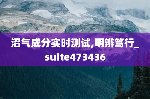 沼气成分实时测试,明辨笃行_suite473436