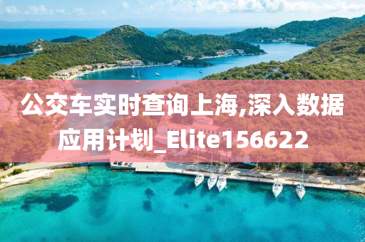 公交车实时查询上海,深入数据应用计划_Elite156622