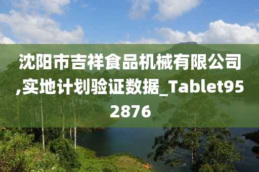 沈阳市吉祥食品机械有限公司,实地计划验证数据_Tablet952876