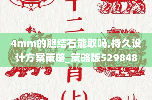 4mm的胆结石能取吗,持久设计方案策略_策略版529848