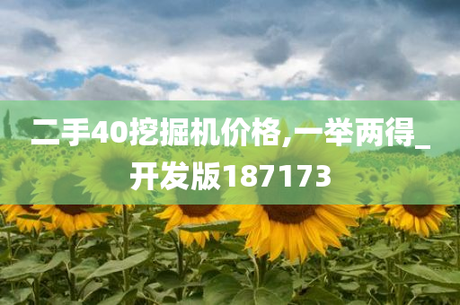 二手40挖掘机价格,一举两得_开发版187173