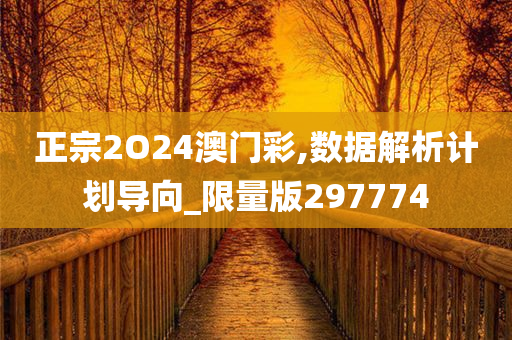 正宗2O24澳门彩,数据解析计划导向_限量版297774