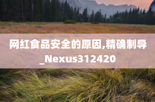 网红食品安全的原因,精确制导_Nexus312420