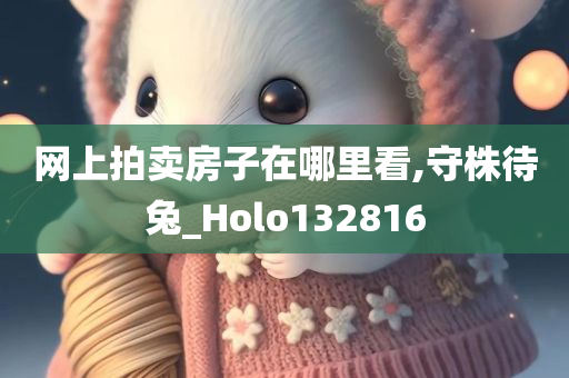 网上拍卖房子在哪里看,守株待兔_Holo132816