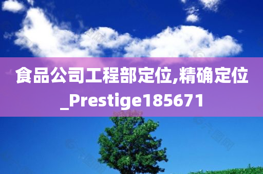 食品公司工程部定位,精确定位_Prestige185671