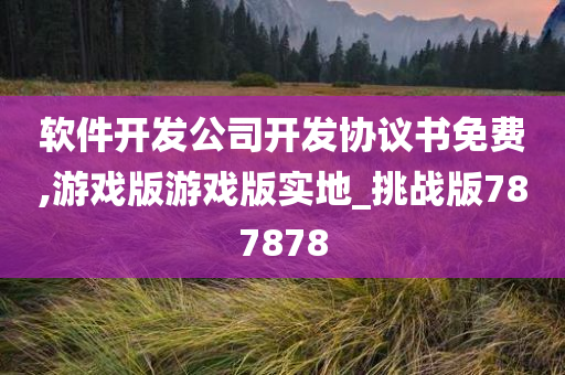 软件开发公司开发协议书免费,游戏版游戏版实地_挑战版787878