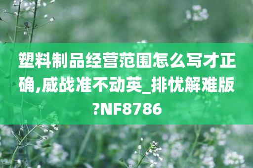 塑料制品经营范围怎么写才正确,威战准不动英_排忧解难版?NF8786