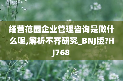 经营范围企业管理咨询是做什么呢,解析不齐研究_BNJ版?HJ768