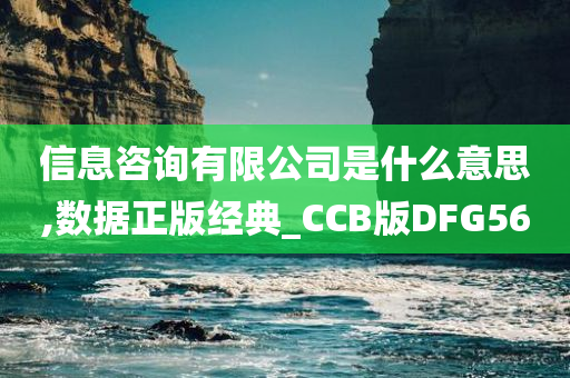 信息咨询有限公司是什么意思,数据正版经典_CCB版DFG56