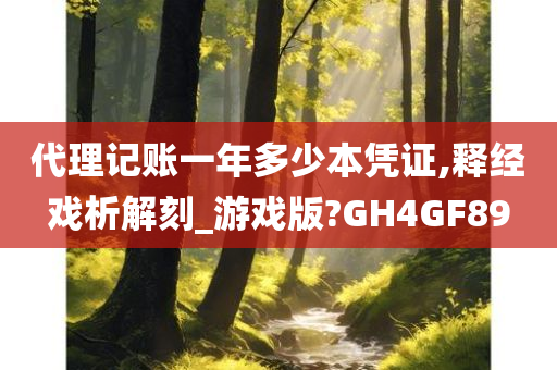 代理记账一年多少本凭证,释经戏析解刻_游戏版?GH4GF89