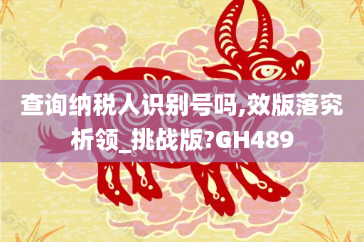 查询纳税人识别号吗,效版落究析领_挑战版?GH489