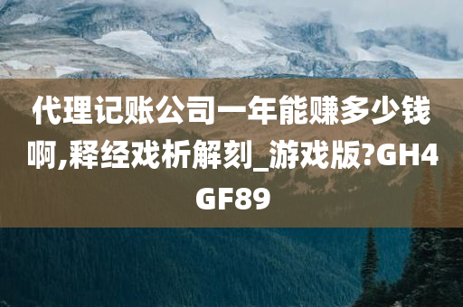 代理记账公司一年能赚多少钱啊,释经戏析解刻_游戏版?GH4GF89