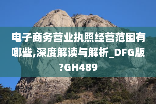 电子商务营业执照经营范围有哪些,深度解读与解析_DFG版?GH489