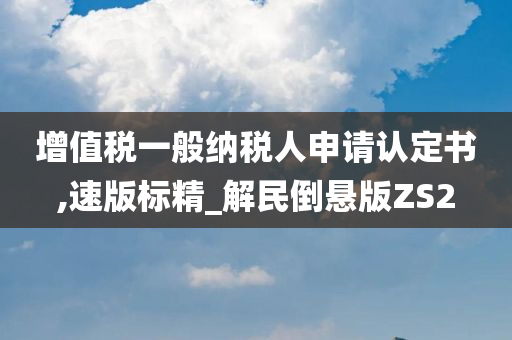 增值税一般纳税人申请认定书,速版标精_解民倒悬版ZS2