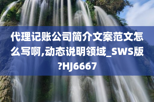 代理记账公司简介文案范文怎么写啊,动态说明领域_SWS版?HJ6667