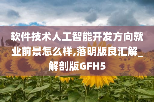 软件技术人工智能开发方向就业前景怎么样,落明版良汇解_解剖版GFH5