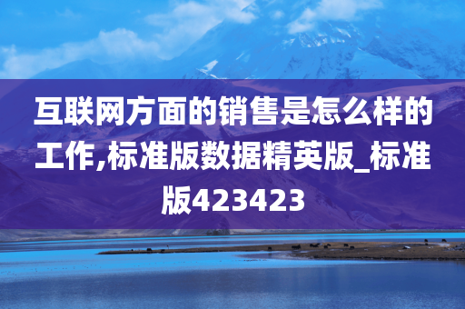 互联网方面的销售是怎么样的工作,标准版数据精英版_标准版423423