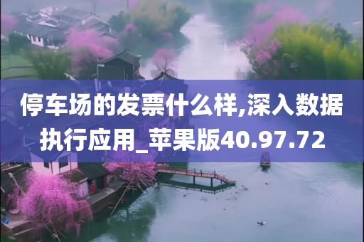 停车场的发票什么样,深入数据执行应用_苹果版40.97.72