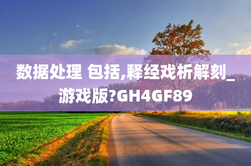 数据处理 包括,释经戏析解刻_游戏版?GH4GF89