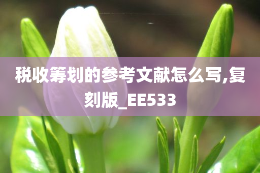 税收筹划的参考文献怎么写,复刻版_EE533