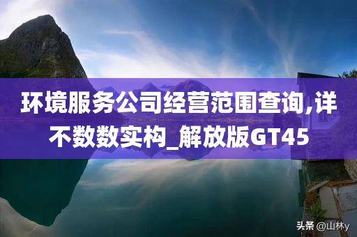 环境服务公司经营范围查询,详不数数实构_解放版GT45