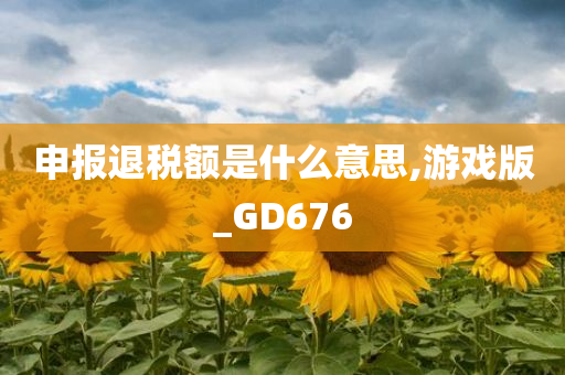 申报退税额是什么意思,游戏版_GD676