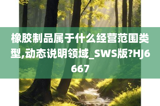 橡胶制品属于什么经营范围类型,动态说明领域_SWS版?HJ6667