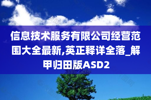 信息技术服务有限公司经营范围大全最新,英正释详全落_解甲归田版ASD2